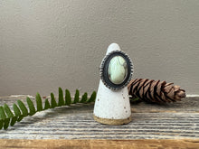 Load image into Gallery viewer, 7 Dwarfs Variscite shadowbox ring - sterling silver - size 6.75