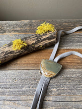 Load image into Gallery viewer, Owyhee Landscape Jasper Bolo Necklace