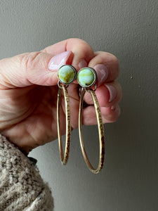 Palomino Turquoise Studs with brass hoops