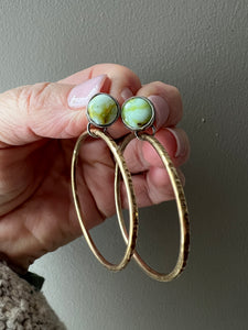 Palomino Turquoise Studs with brass hoops