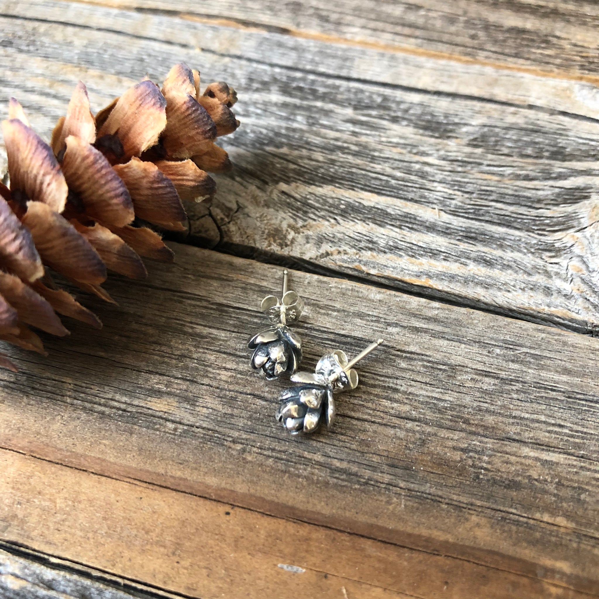 succulent stud earrings Tiny Silver Succulent Stud Earrings