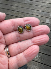 Load image into Gallery viewer, Green Amber Studs